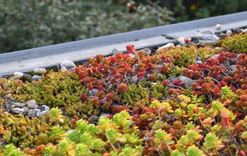 the cost of Shitterton green roof installation