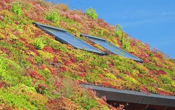 Shitterton living roof systems