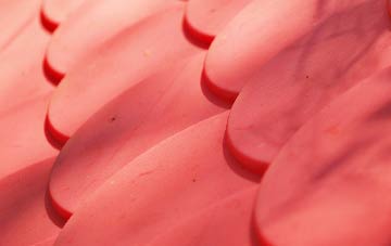 Shitterton plastic roof costs