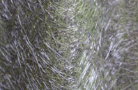 Shitterton fibreglass roof work